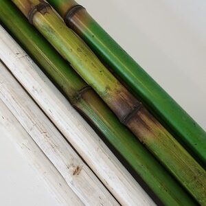 Bamboo