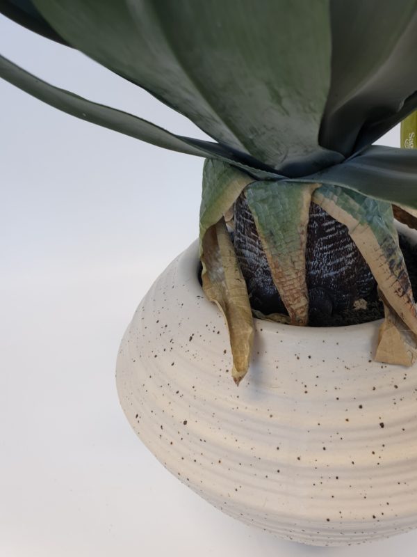 Artificial Aloe Plant