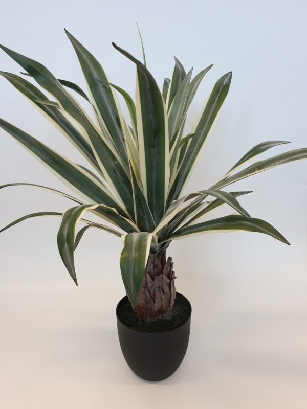 Artificial Dracena Plant with Trunk Small