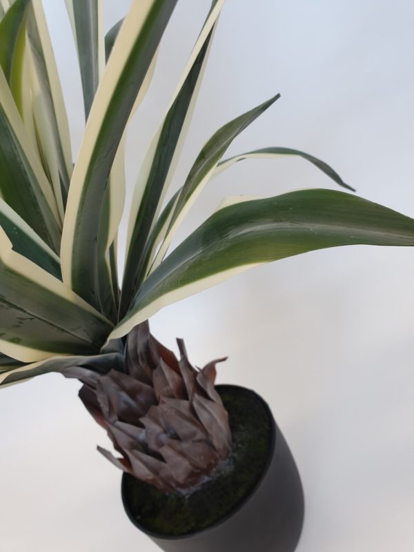 Artificial Dracena Plant with Trunk Small