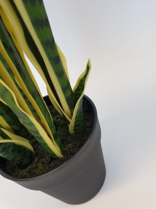 Artificial Sansevieria