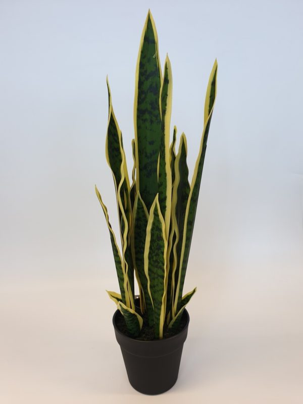 Artificial Sansevieria