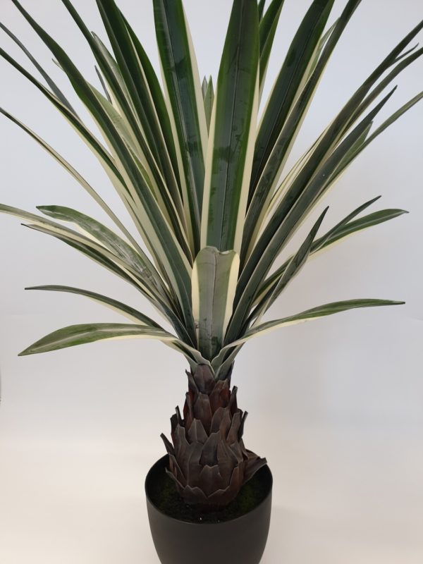 Artificial Dracena Plant with Trunk Large