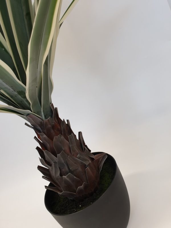 Artificial Dracena Plant with Trunk Large