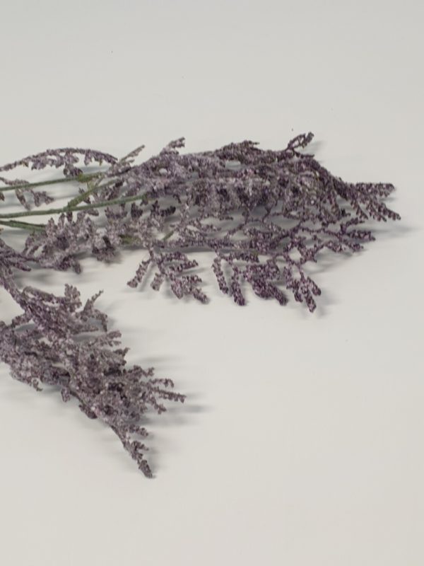 Limonium Purple