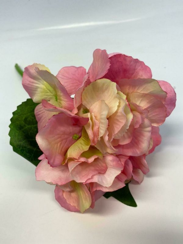 Mini Hydrangea Pink