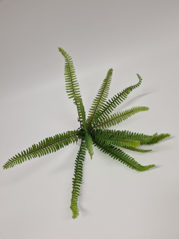 Forest Fern 30 cm