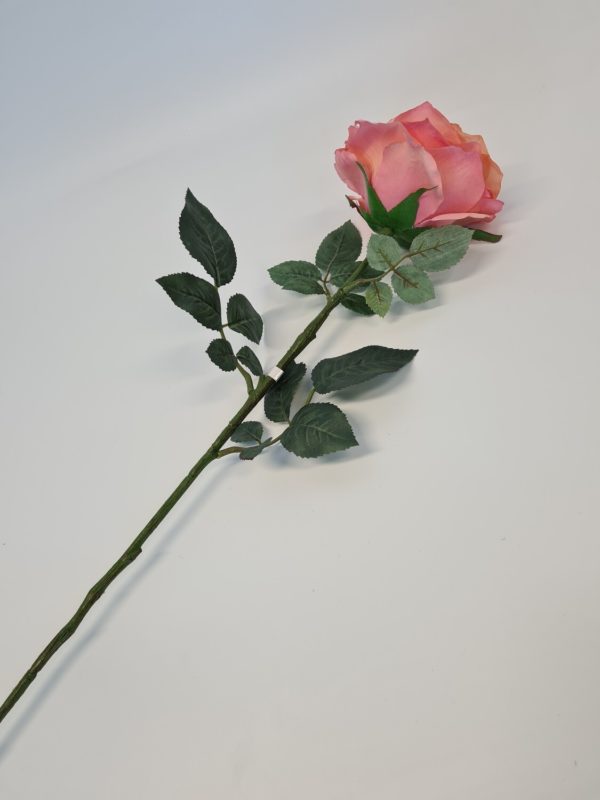 Large Aide Rose Peach