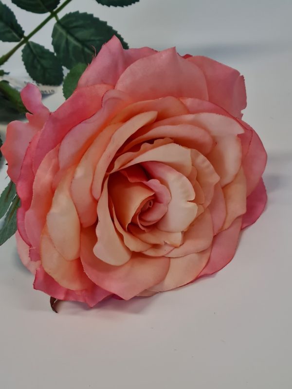 Large Aide Rose Peach