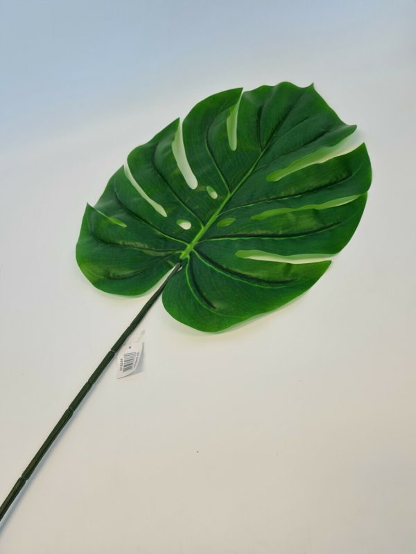 Monstera Leaf Green