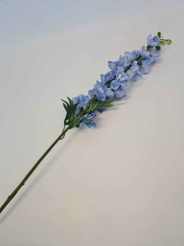 Delphinium Blue