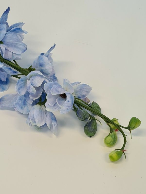 Delphinium Blue