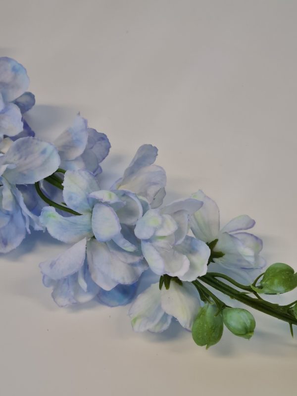 Delphinium Light Blue