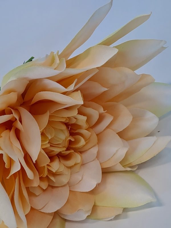 Dahlia Large Peach