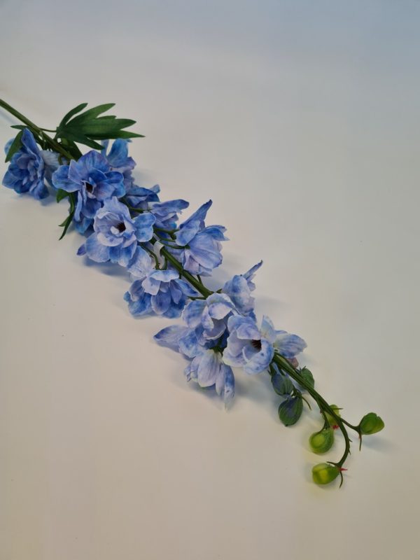 Delphinium Blue