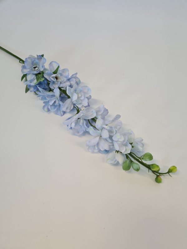 Delphinium Light Blue