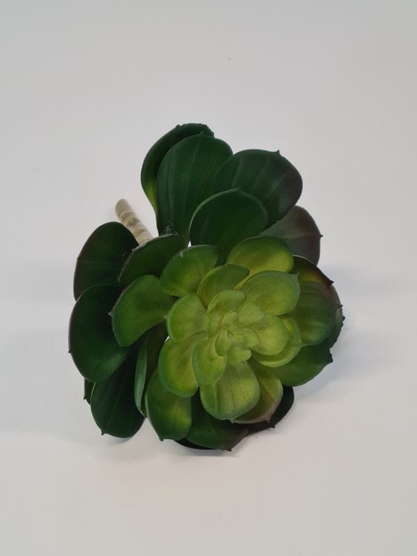 Medium Succulent Pick