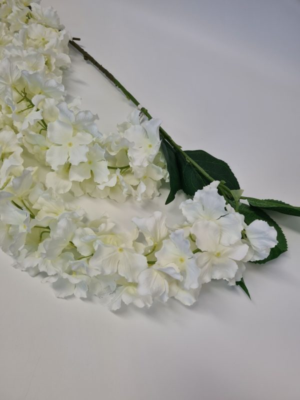 Hydrangea Trail White