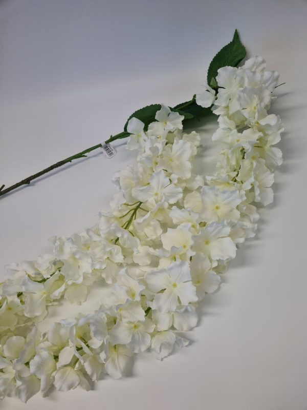 Hydrangea Trail White