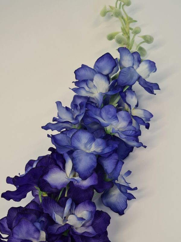 Delphinium Dark Blue