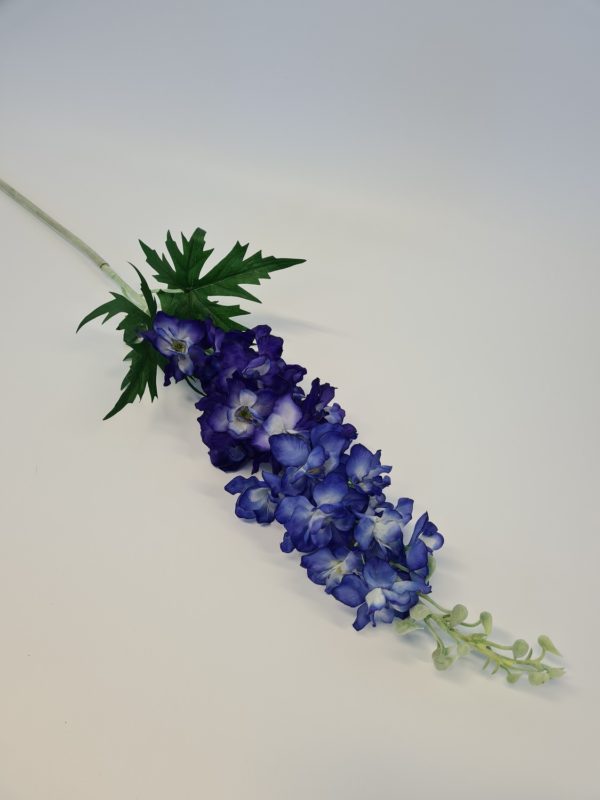 Delphinium Dark Blue