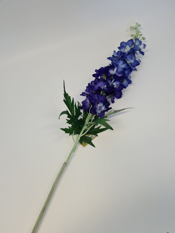 Delphinium Dark Blue