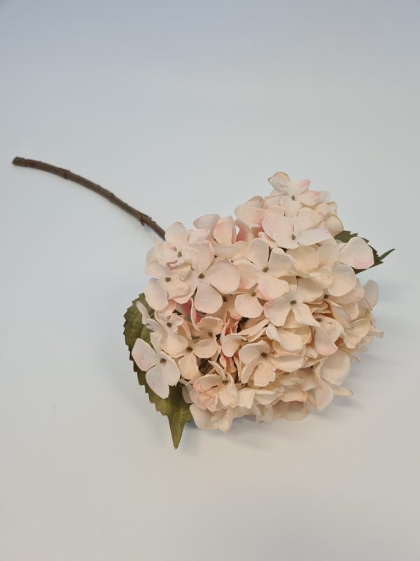 Dried Look Hydrangea Light Pink