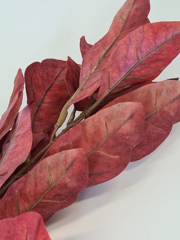 Croton Spray Red