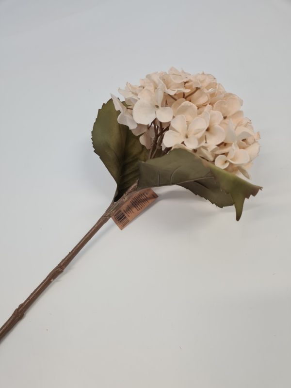 Dried Look Hydrangea Cream