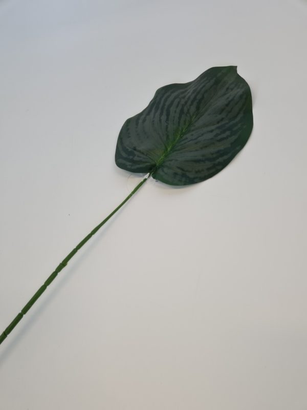 Flat Green Leaf