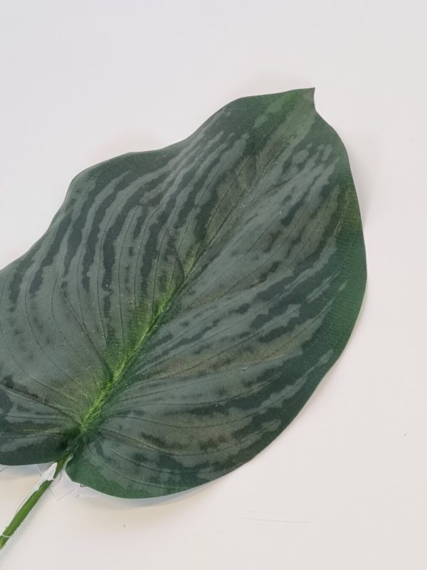 Flat Green Leaf