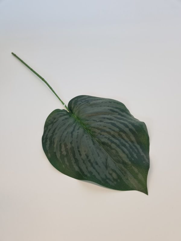 Flat Green Leaf