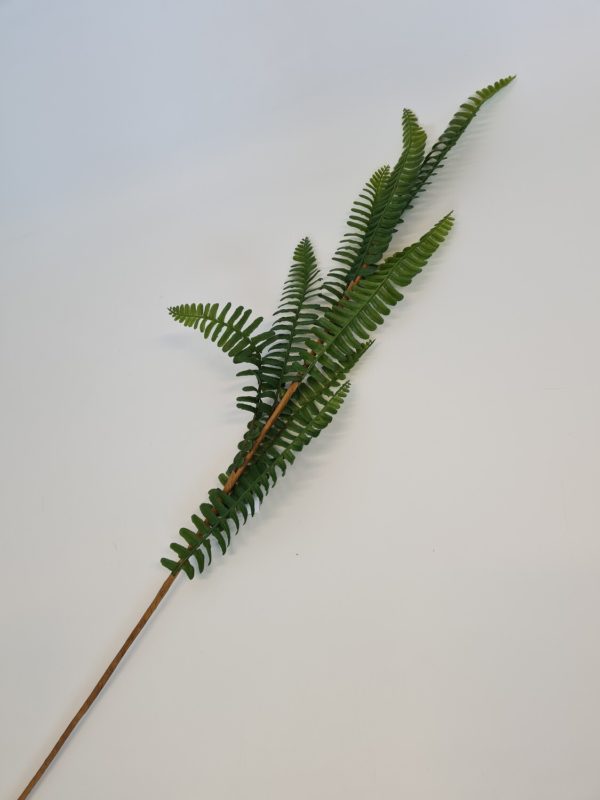 Mini Fern Spray