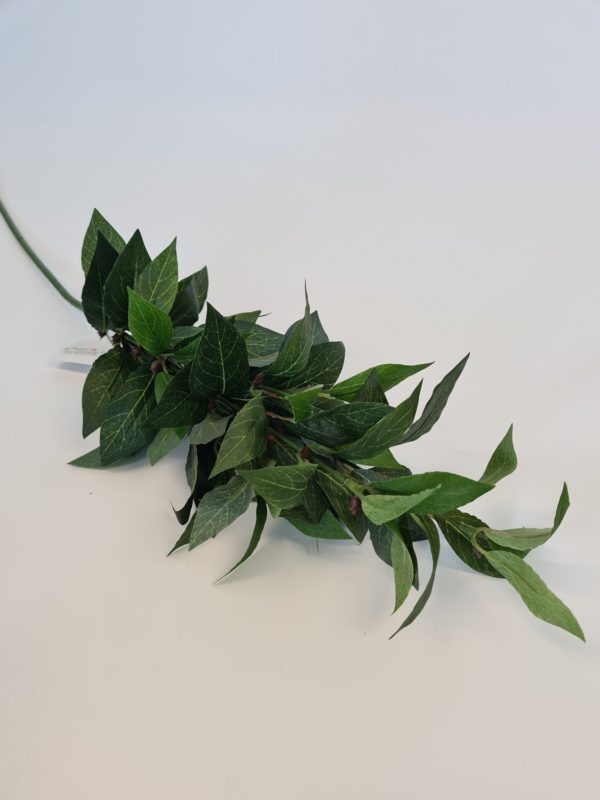 Bay Leaf Spray