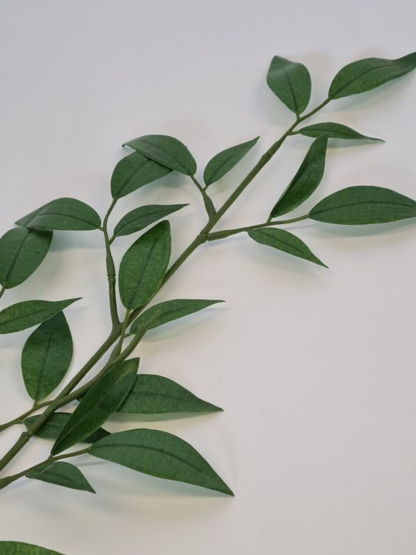 Ruscus Spray