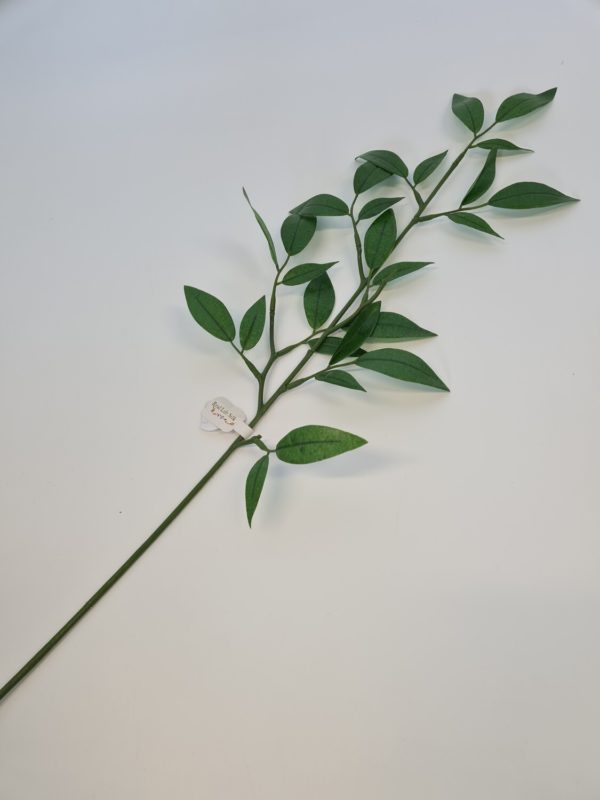 Ruscus Spray