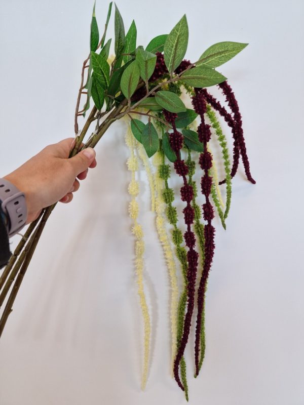 Hanging Amaranthus Long Stem