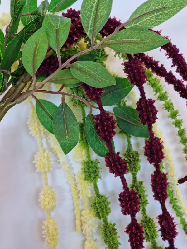 Hanging Amaranthus Long Stem