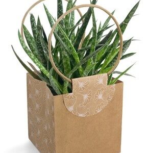 Plant Bags