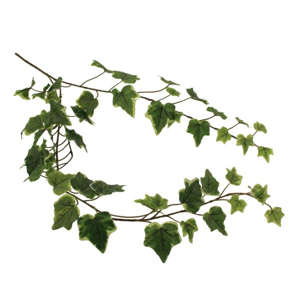 English Ivy Spray Green 80cm