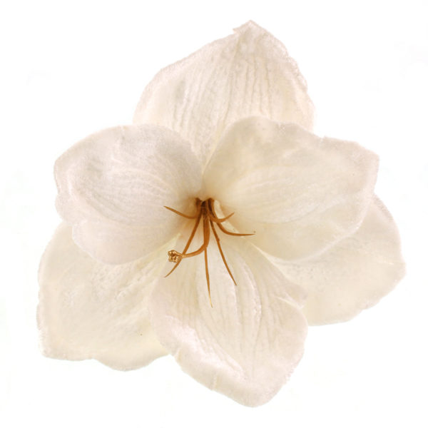 Amaryllis Clip Velvet White 14cm