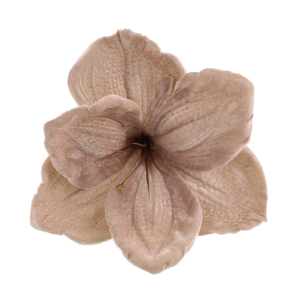 Amaryllis Clip Velvet Beige 14cm