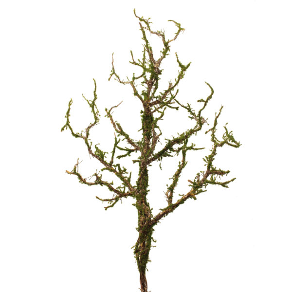 Everglade Twig Spray Green 90cm