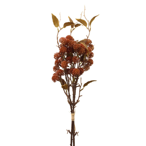 Japanese elder bundle Brown 60cm