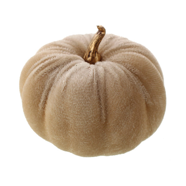 Velvet Pumpkin Cream 8cm