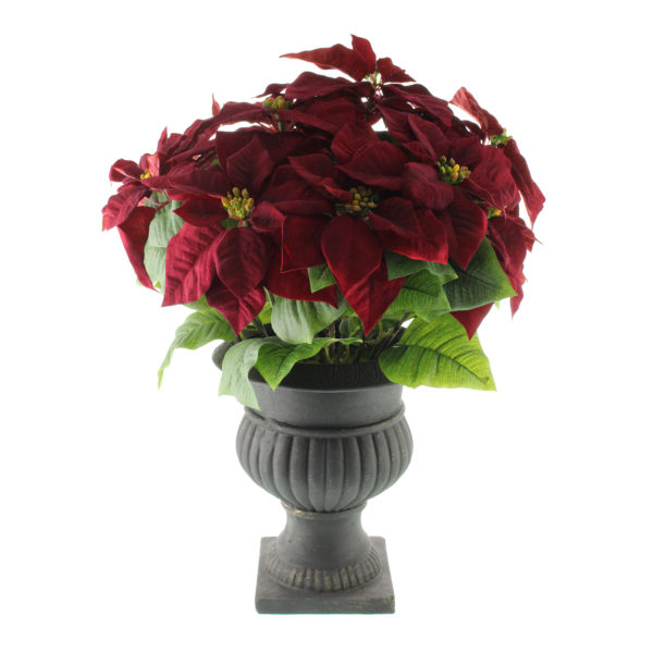 Poinsettia Plant in stone Urn Burgundy Artificial 62cm