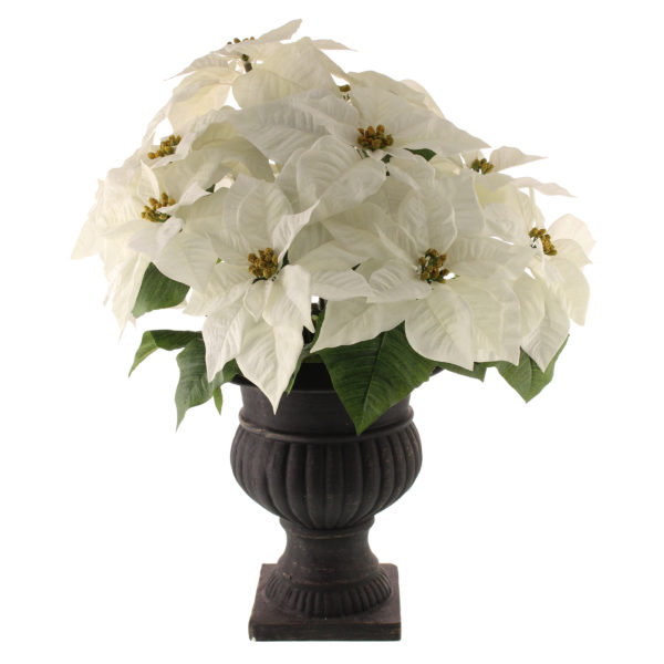 Poinsettia in Stone Urn Artificial White 62cm