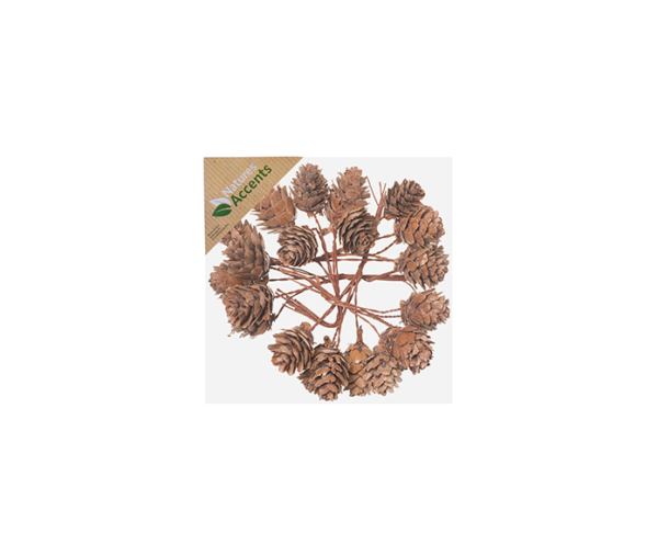 Alder Cones on Wire in box