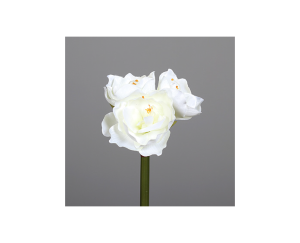 Amaryllis Stem White With 3 Flowers 57cm