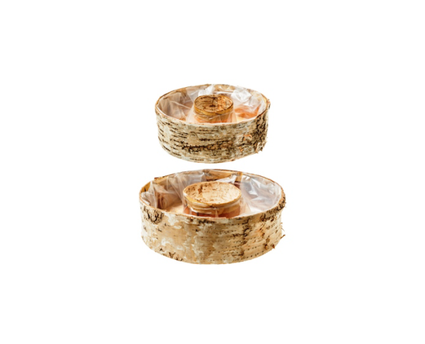 Birch Planter Ring set of 2